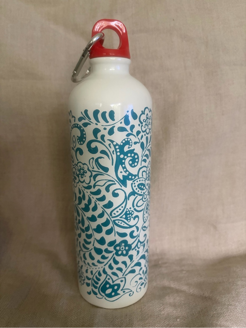 The pioneer woman 25 oz stainless steel water bottle